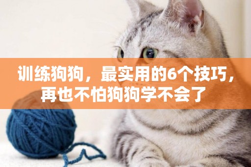 訓練狗狗，最實用的6個技巧，再也不怕狗狗學不會了 