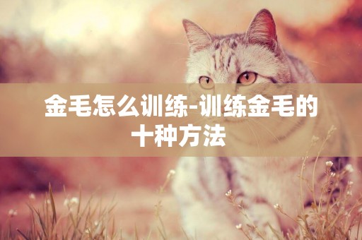 金毛怎么訓練-訓練金毛的十種方法 