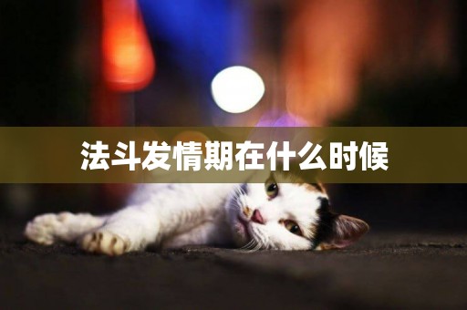 法斗發情期在什么時候