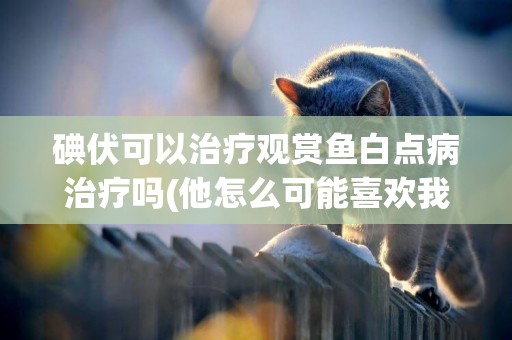 碘伏可以治療觀賞魚白點病治療嗎(他怎么可能喜歡我) 