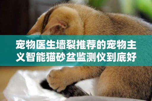 寵物醫生墻裂推薦的寵物主義智能貓砂盆監測儀到底好在哪里？ 