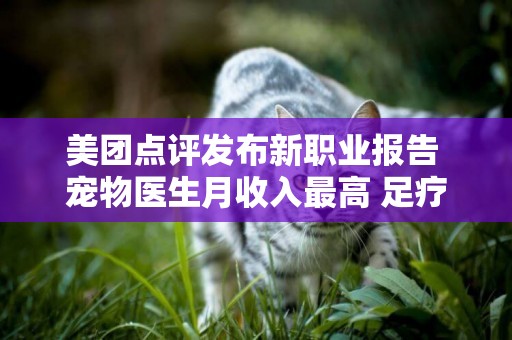 美團點評發布新職業報告 寵物醫生月收入最高 足療按摩師最愛存錢 