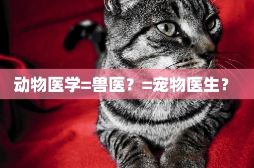 動物醫學=獸醫？=寵物醫生？ 