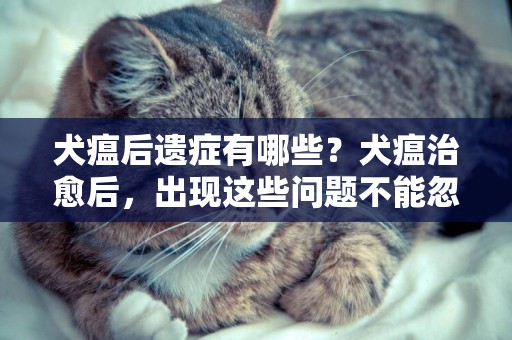 犬瘟后遺癥有哪些？犬瘟治愈后，出現這些問題不能忽視 