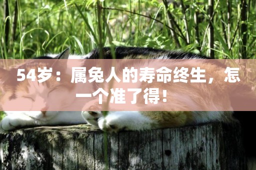54歲：屬兔人的壽命終生，怎一個準了得！ 