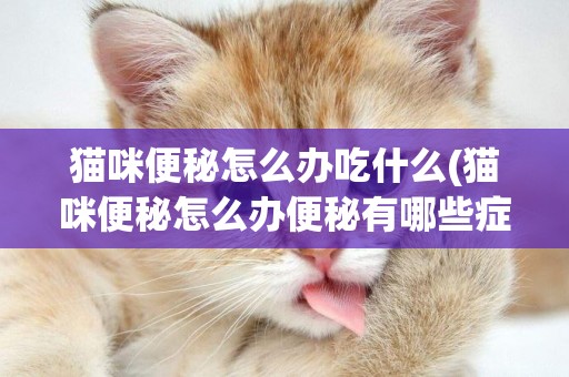 貓咪便秘怎么辦吃什么(貓咪便秘怎么辦便秘有哪些癥狀) 