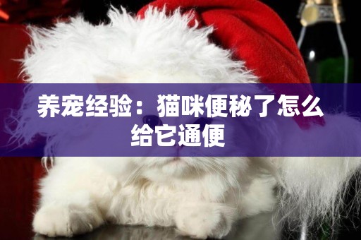 養寵經驗：貓咪便秘了怎么給它通便 