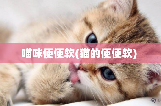 喵咪便便軟(貓的便便軟) 