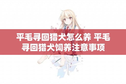 平毛尋回獵犬怎么養 平毛尋回獵犬飼養注意事項