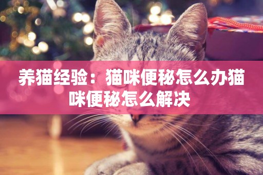 養貓經驗：貓咪便秘怎么辦貓咪便秘怎么解決 