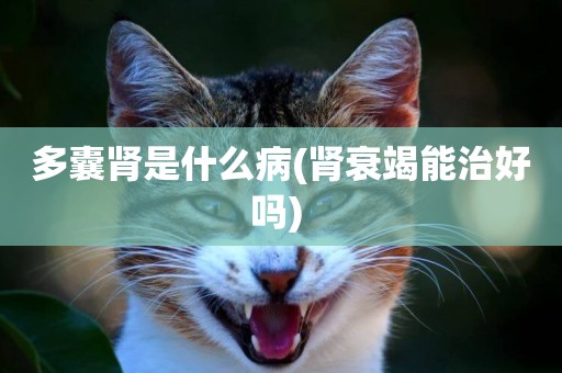 多囊腎是什么病(腎衰竭能治好嗎) 