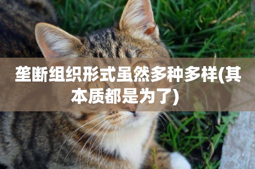 壟斷組織形式雖然多種多樣(其本質都是為了) 