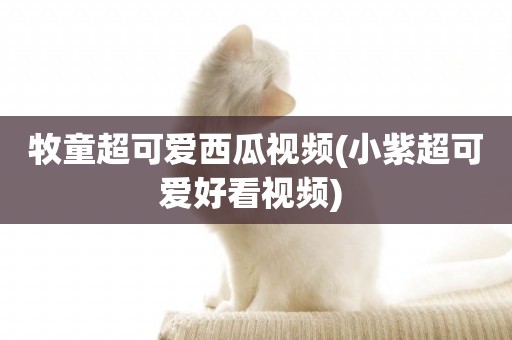 牧童超可愛西瓜視頻(小紫超可愛好看視頻) 