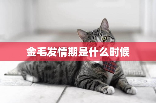 金毛發情期是什么時候