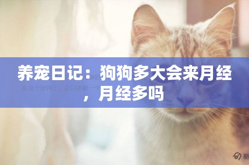 養寵日記：狗狗多大會來月經，月經多嗎 