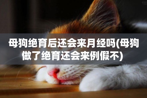 母狗絕育后還會來月經嗎(母狗做了絕育還會來例假不) 