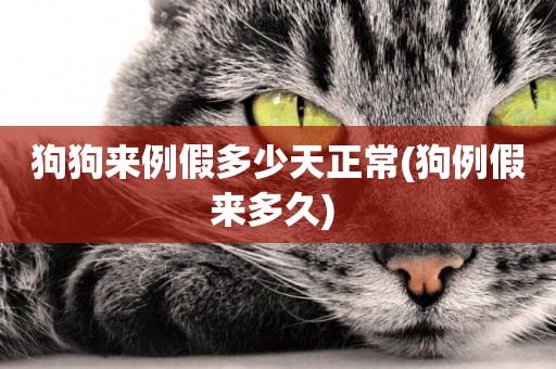 狗狗來例假多少天正常(狗例假來多久) 