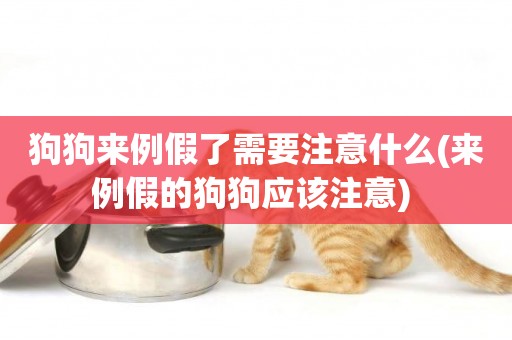 狗狗來例假了需要注意什么(來例假的狗狗應該注意) 