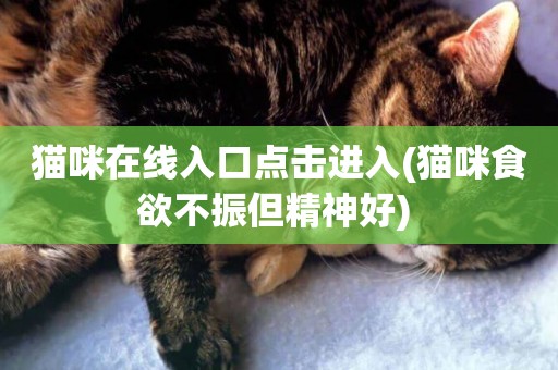 貓咪在線入口點擊進入(貓咪食欲不振但精神好) 