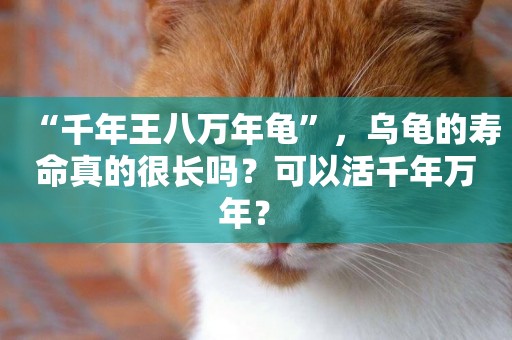 “千年王八萬年龜”，烏龜的壽命真的很長嗎？可以活千年萬年？ 