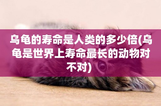 烏龜的壽命是人類的多少倍(烏龜是世界上壽命最長的動物對不對) 