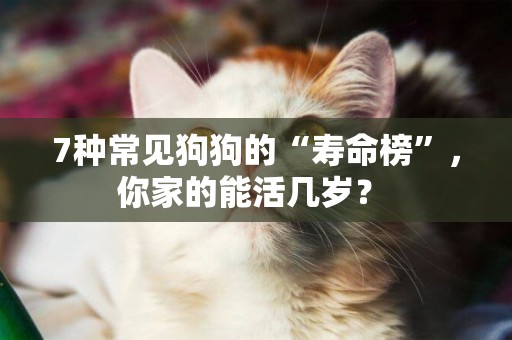 7種常見狗狗的“壽命榜”，你家的能活幾歲？ 