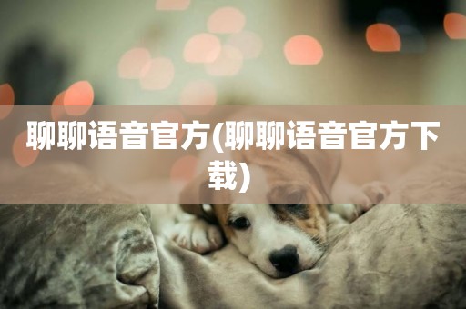 聊聊語音官方(聊聊語音官方下載) 