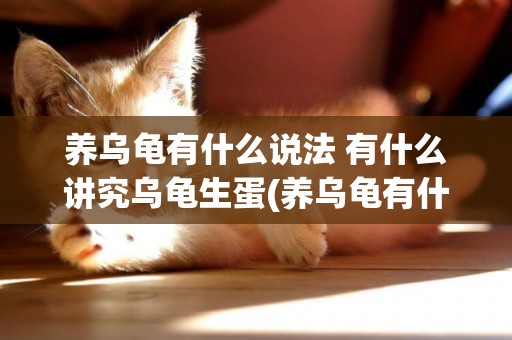 養烏龜有什么說法 有什么講究烏龜生蛋(養烏龜有什么講究說法嗎?) 
