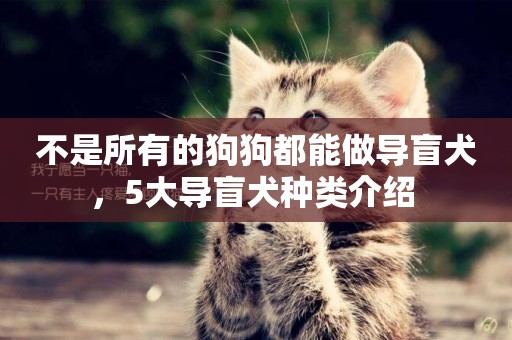 不是所有的狗狗都能做導盲犬，5大導盲犬種類介紹 
