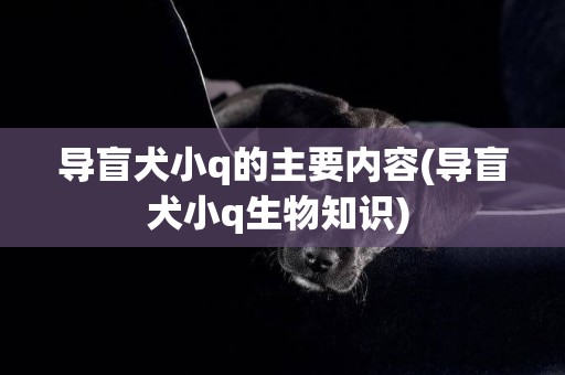 導盲犬小q的主要內容(導盲犬小q生物知識) 
