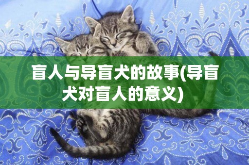 盲人與導盲犬的故事(導盲犬對盲人的意義) 
