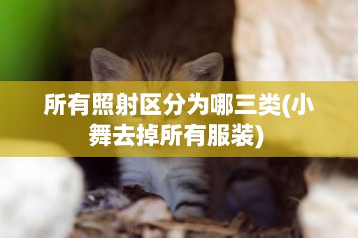所有照射區分為哪三類(小舞去掉所有服裝) 