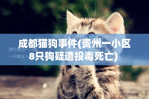 成都貓狗事件(貴州一小區8只狗疑遭投毒死亡) 