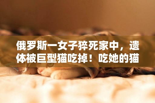 俄羅斯一女子猝死家中，遺體被巨型貓吃掉！吃她的貓是什么來頭？ 