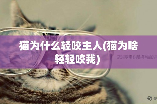 貓為什么輕咬主人(貓為啥輕輕咬我) 