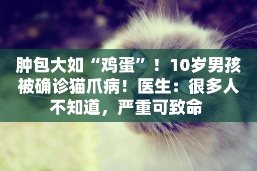 腫包大如“雞蛋”！10歲男孩被確診貓爪病！醫生：很多人不知道，嚴重可致命 