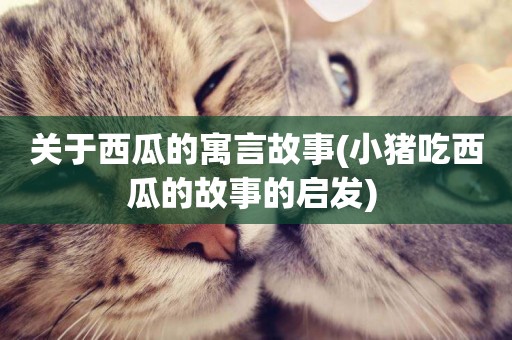 關于西瓜的寓言故事(小豬吃西瓜的故事的啟發) 