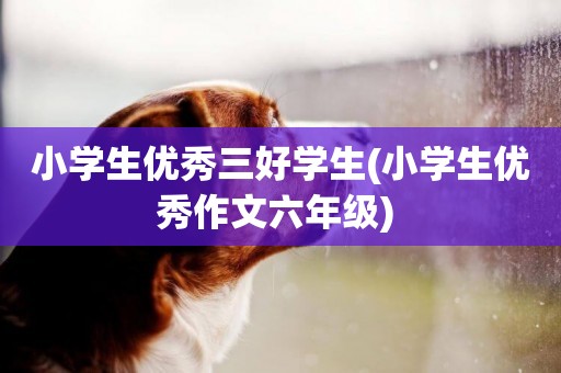 小學生優秀三好學生(小學生優秀作文六年級) 