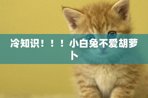 冷知識！！！小白兔不愛胡蘿卜 