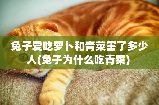 兔子愛吃蘿卜和青菜害了多少人(兔子為什么吃青菜) 