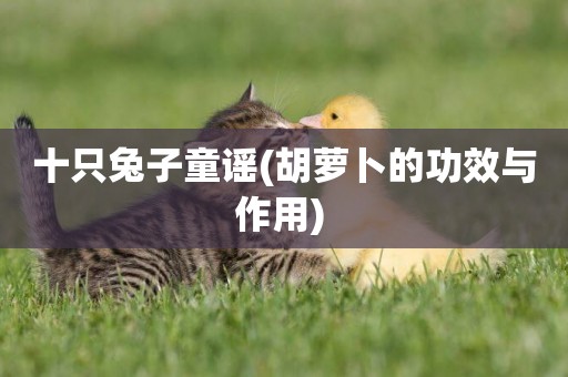 十只兔子童謠(胡蘿卜的功效與作用) 