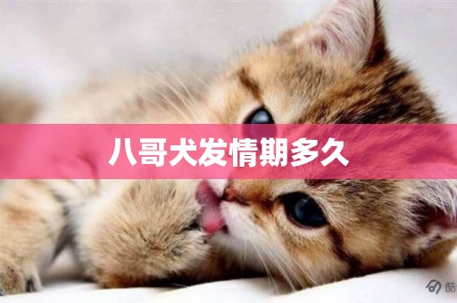 八哥犬發情期多久