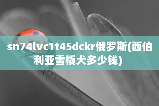 sn74lvc1t45dckr俄羅斯(西伯利亞雪橇犬多少錢) 