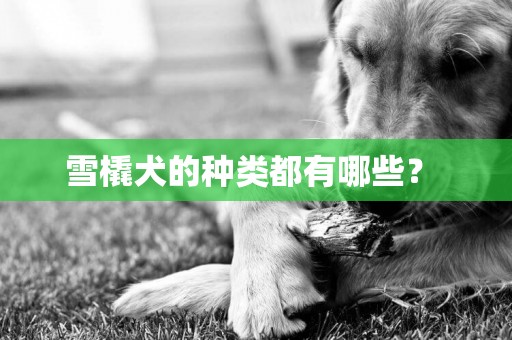 雪橇犬的種類都有哪些？ 