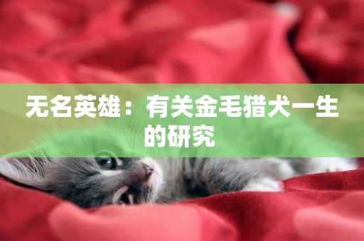 無名英雄：有關金毛獵犬一生的研究 