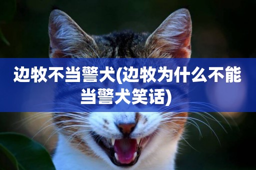邊牧不當警犬(邊牧為什么不能當警犬笑話) 