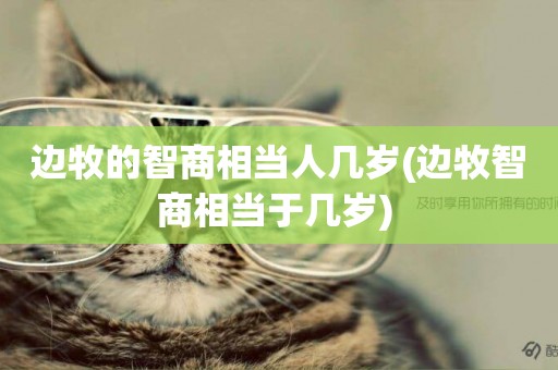 邊牧的智商相當人幾歲(邊牧智商相當于幾歲) 