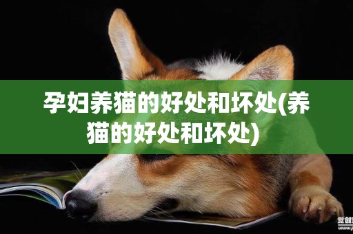孕婦養貓的好處和壞處(養貓的好處和壞處) 
