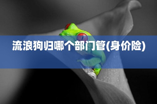 流浪狗歸哪個部門管(身價險) 