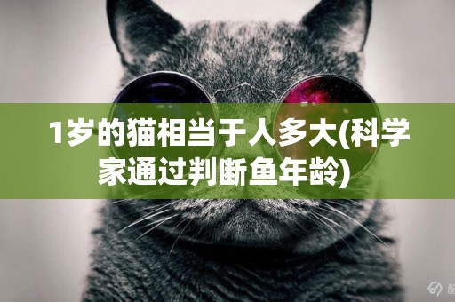 1歲的貓相當于人多大(科學家通過判斷魚年齡) 